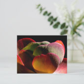 Carte Postale Succulent Plante du désert (Debout devant)