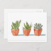 Carte postale Succulente (Devant / Derrière)