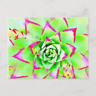 Carte postale Succulente Aquarelle Rose