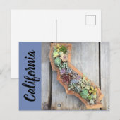 Carte postale Succulente Californie (Devant / Derrière)