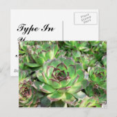 Carte Postale Succulents (Devant / Derrière)