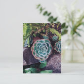 Carte Postale Succulents (Debout devant)