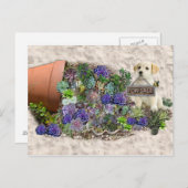 Carte Postale Succulents à vendre (Devant / Derrière)