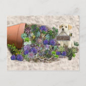 Carte Postale Succulents à vendre (Devant)