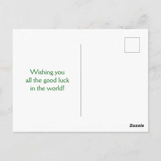 Carte Postale Succulents colorés à l'herbe argentée (Dos)