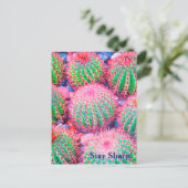 Carte Postale Succulents de cactus roses (Debout devant)