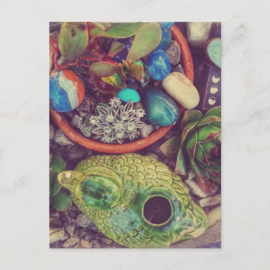Carte Postale Succulents et petits objets d'art de jardin (Devant)