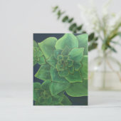 Carte Postale Succulents verts (Debout devant)