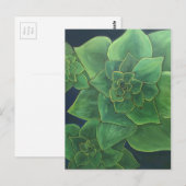 Carte Postale Succulents verts (Devant / Derrière)