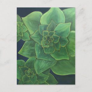 Carte Postale Succulents verts