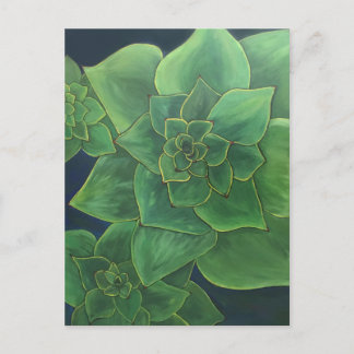 Carte Postale Succulents verts