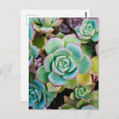 Carte Postale Succulents verts aux contours rouges (Devant / Derrière)