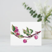 Carte Postale Succursale de cerise (Debout devant)