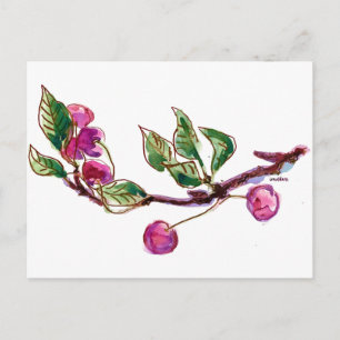 Carte Postale Succursale de cerise