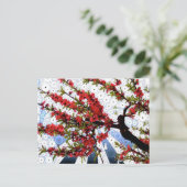 Carte postale Succursale de framboise et de fleur  (Debout devant)
