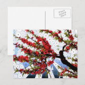 Carte postale Succursale de framboise et de fleur  (Devant / Derrière)