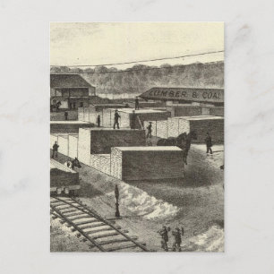 Carte Postale Succursale, Princeton Lumber & Improvement Co