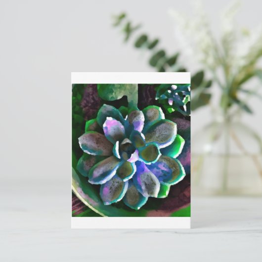 Carte Postale Succuss (Debout devant)