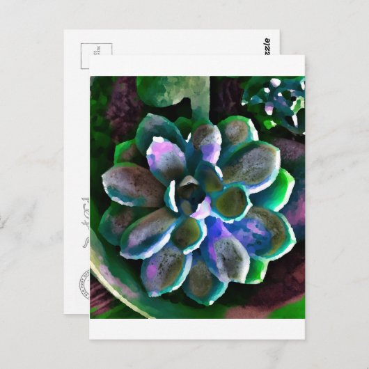 Carte Postale Succuss (Devant / Derrière)