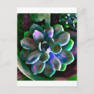 Carte Postale Succuss