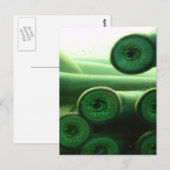 Carte Postale Suceuses (Devant / Derrière)