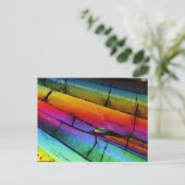 Carte Postale Sucre au microscope (Debout devant)