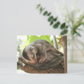 Carte Postale sucre planeur bébé (Debout devant)