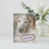 Carte postale sucrée (Debout devant)