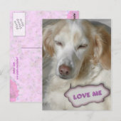 Carte postale sucrée (Devant / Derrière)