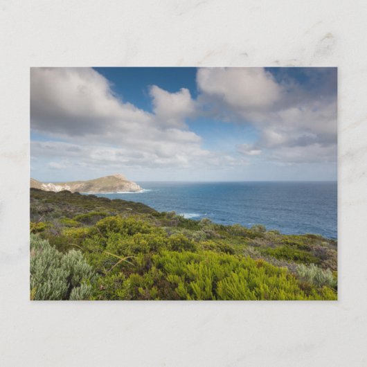Carte Postale Sud-ouest de l'Australie, Albany (Devant)