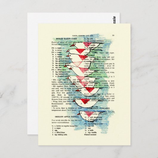 Carte Postale Sud pour l'hiver (Devant / Derrière)