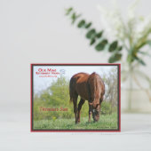 Carte postale Sue intemporelle (Debout devant)