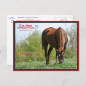 Carte postale Sue intemporelle (Devant / Derrière)