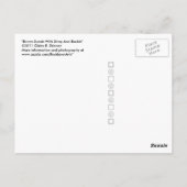 Carte Postale Suède Brown Avec Sangle Et Boucle (Dos)