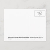 Carte Postale Sueur (Dos)