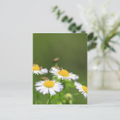 Carte Postale Sueur (Debout devant)