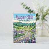 Carte Postale Sugar Hill USA (Debout devant)