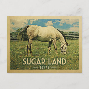 Carte Postale Sugar Land Texas Horse Farm - Vintage voyage