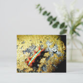 Carte Postale Suis-je différent de toi ? / Night Out Beauty (Debout devant)