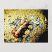 Suis-je différent de toi ? / Night Out Beauty