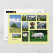 Carte postale Suisse (Devant / Derrière)