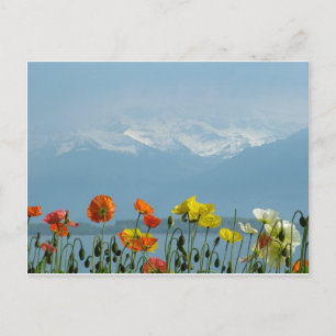 Carte Postale suisse-16800