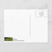 Carte Postale Suivez le chemin pano (Dos)