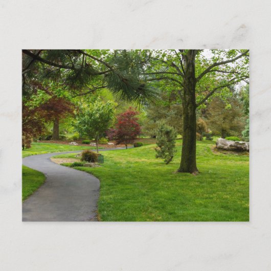 Carte Postale Suivez le chemin pano (Devant)