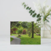 Carte Postale Suivez le chemin pano (Debout devant)