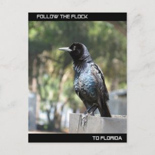 Carte Postale Suivez l'horloge vers la Floride