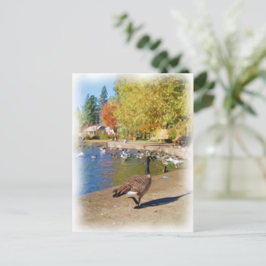 Carte Postale Suivez-moi (Debout devant)