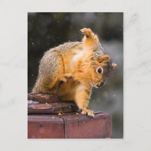 Carte Postale Suivez votre étape