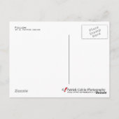 Carte Postale Suivre (Dos)