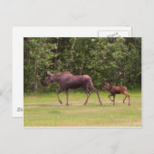 Carte Postale Suivre dans Moms empreintes (Devant / Derrière)